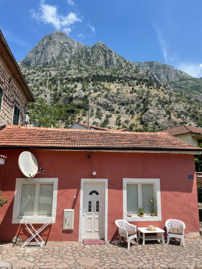 Cozy Little House Kotor 아파트 외부 사진
